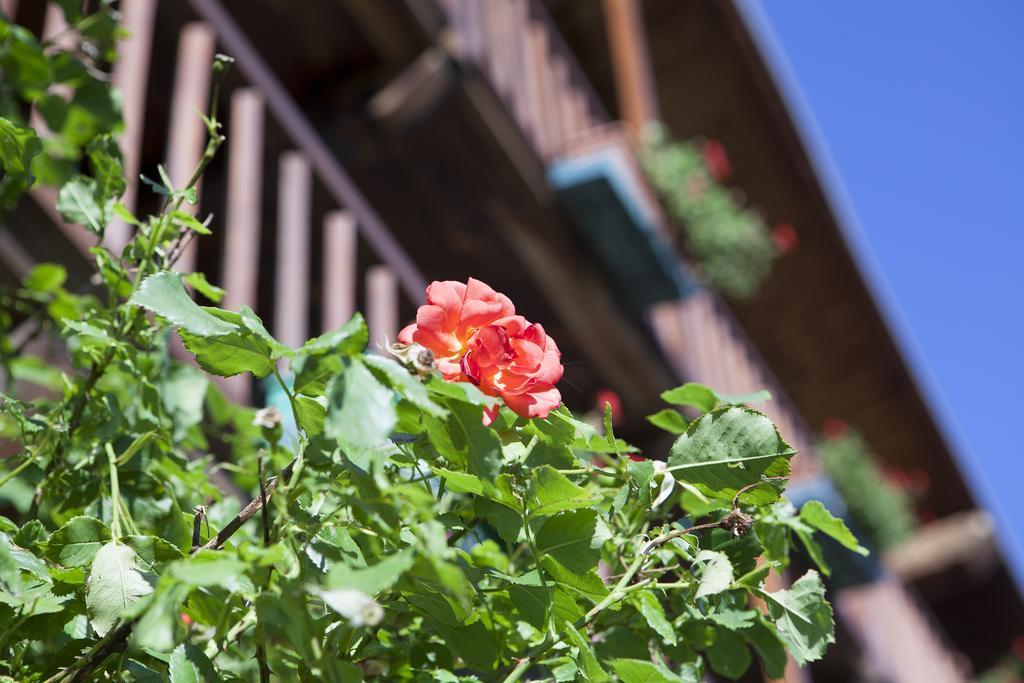 Le Rosier B&B E Appartamento Сент-Винсент Экстерьер фото