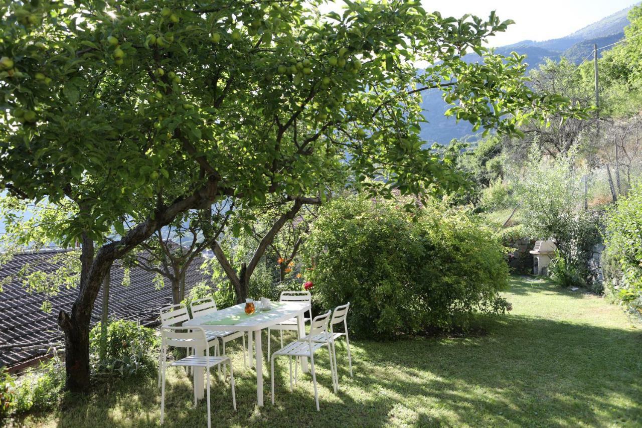 Le Rosier B&B E Appartamento Сент-Винсент Экстерьер фото